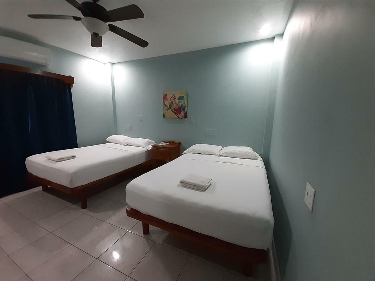 Maya Bella Downtown Hotel سان إجناسيو المظهر الخارجي الصورة