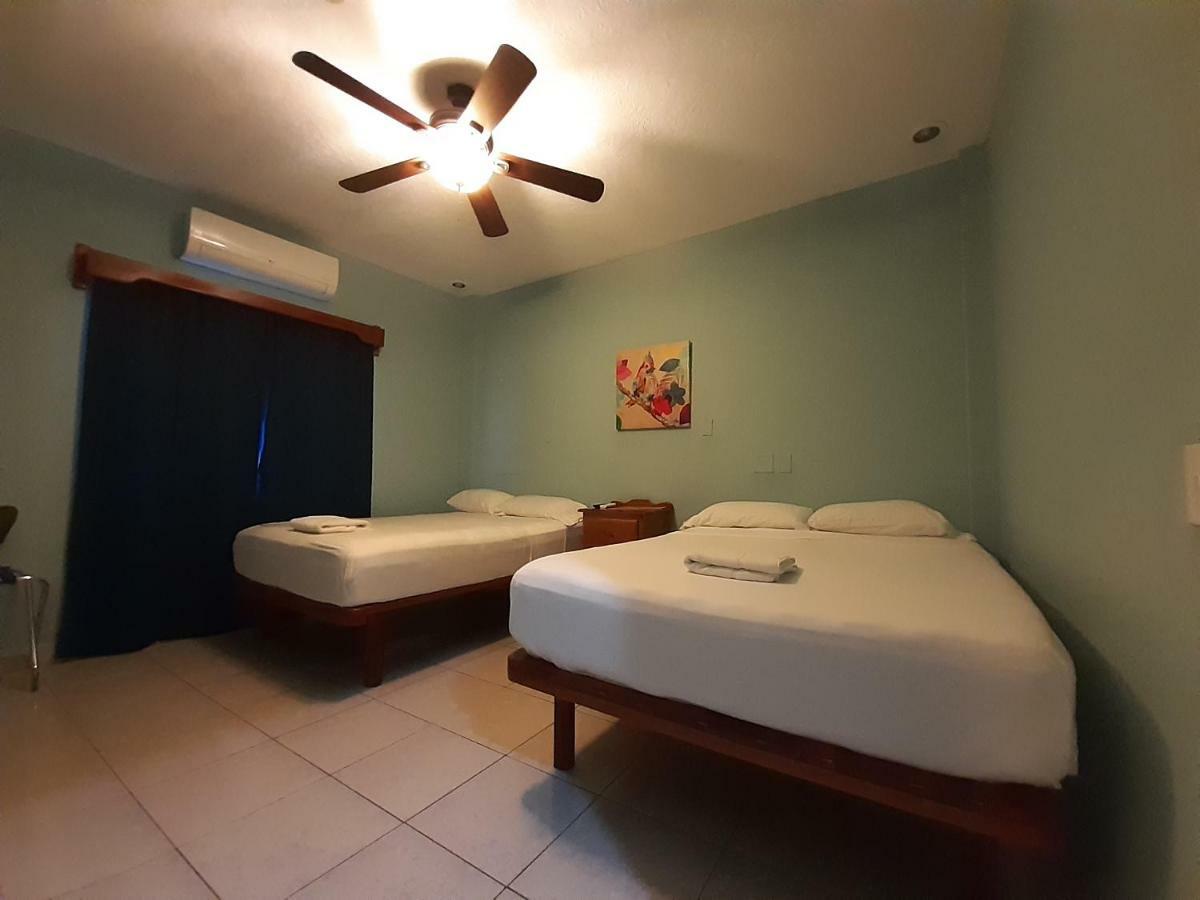 Maya Bella Downtown Hotel سان إجناسيو المظهر الخارجي الصورة