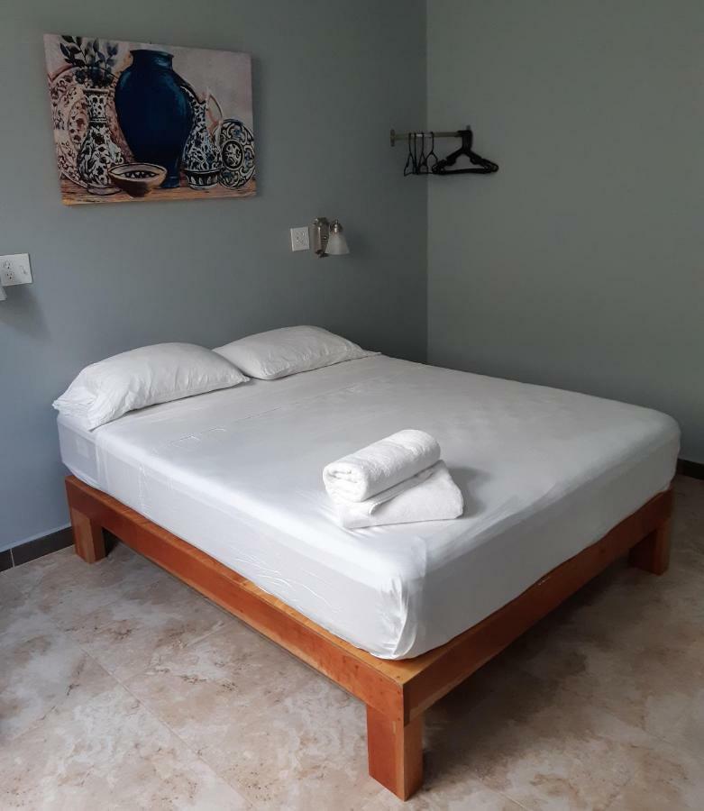 Maya Bella Downtown Hotel سان إجناسيو المظهر الخارجي الصورة